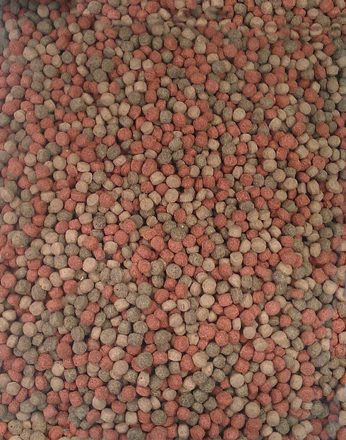 Recompensa pentru caini Bosch Biscuiti cu Legume 10 kg